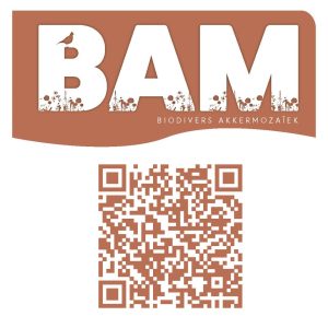 BAM-magazine_QRcode